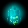 Virtual Colon