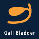 Gallbladder