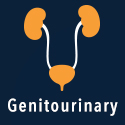 Genitourinary