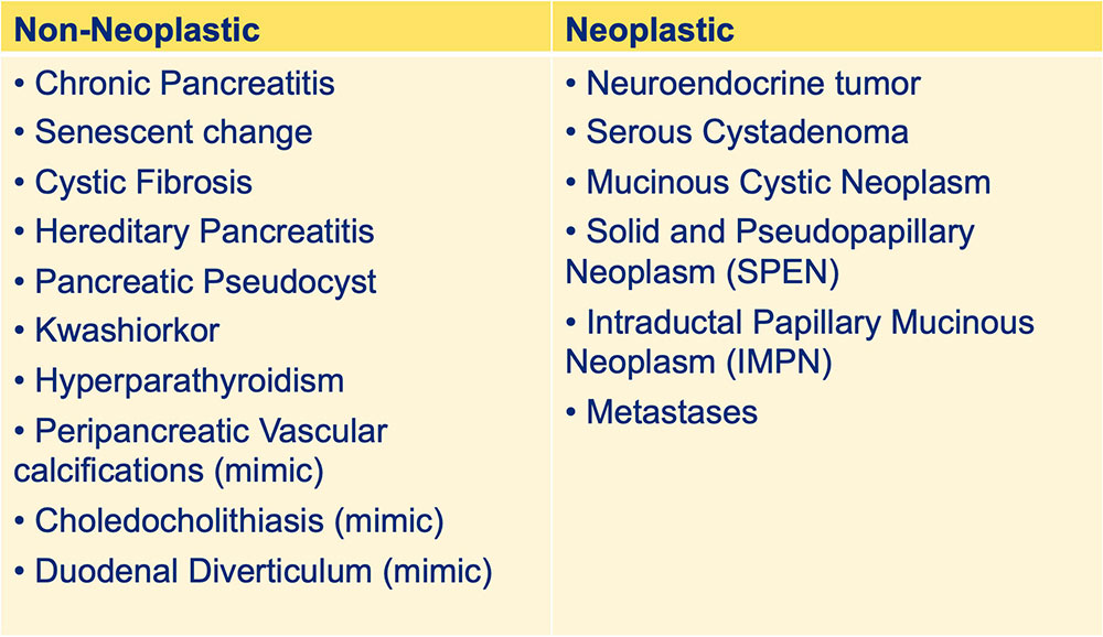 Overview of Calcified Pancreatic Lesions