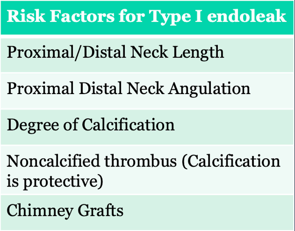 Type I Endoleak