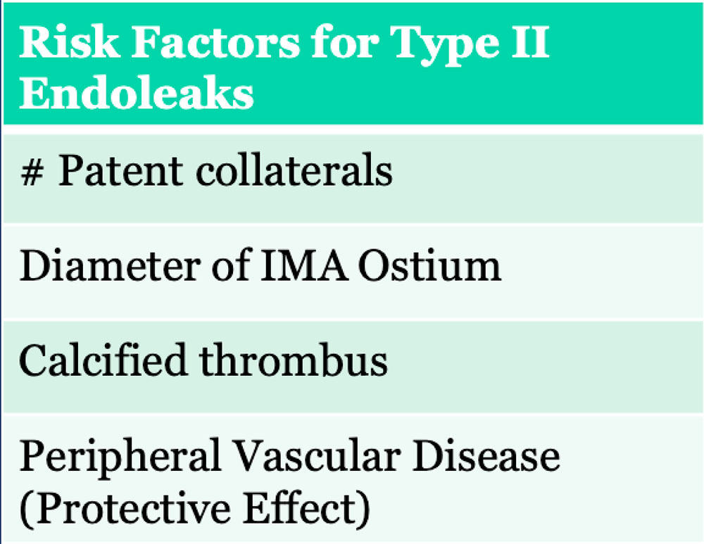 Type II Endoleak