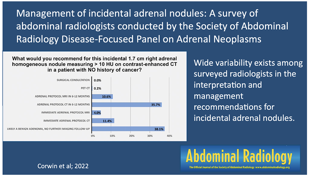 CT of the Adrenal Mass