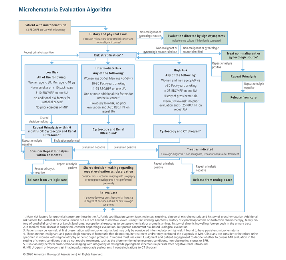 CT of Hematuria