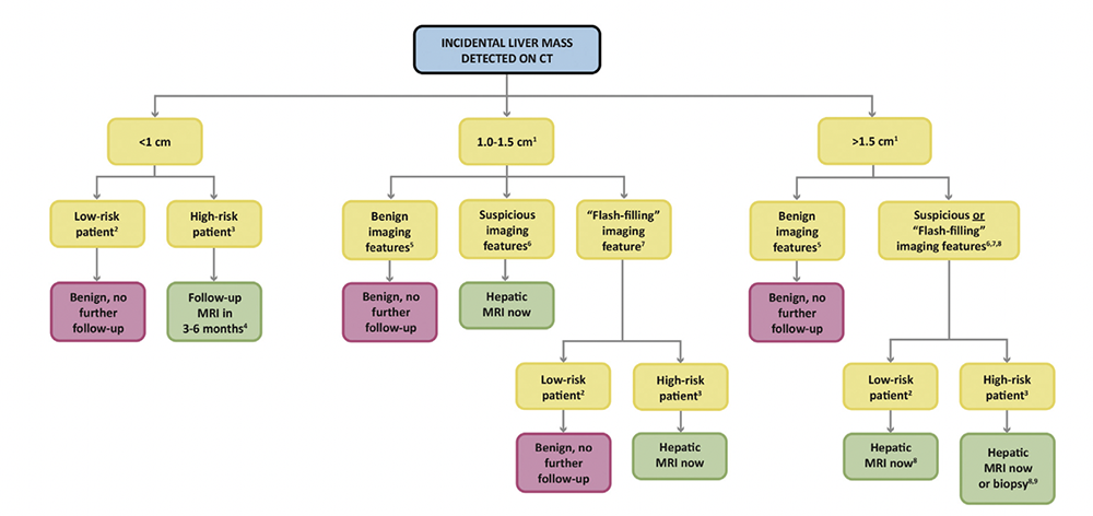 Incidental Liver Mass on CT