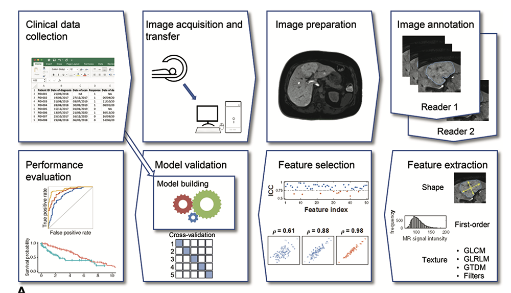 Pancreatic Cancer Imaging