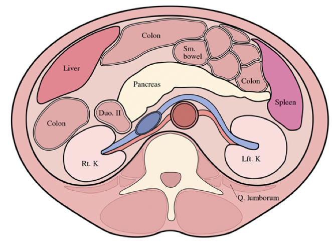 CT of the Perirenal Space