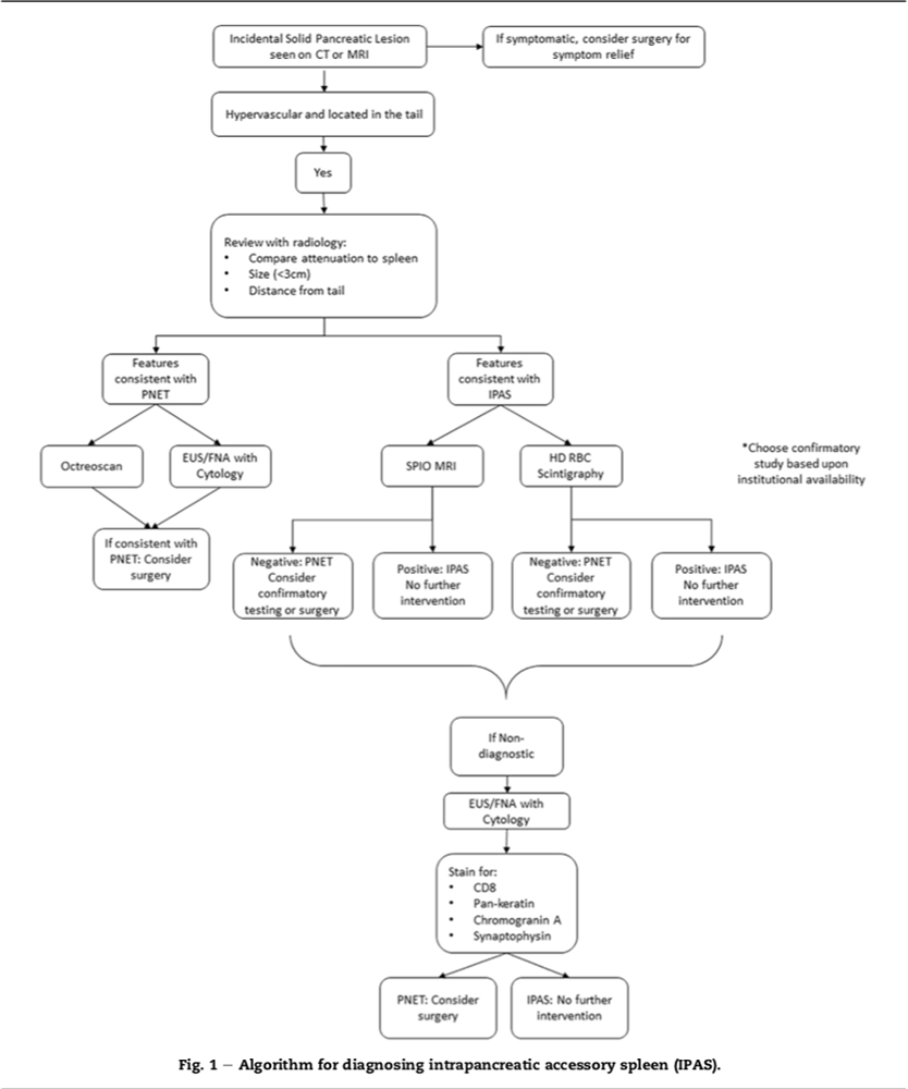 CT of Splenic Anomalies